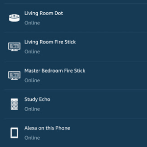 Alexa app screenshot showing both 'Alexa' and 'Echo' listed.