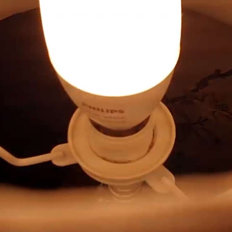 My Philips Hue E14 White Ambiance bulb inside a table lamp, with weird flickering and noise issues.