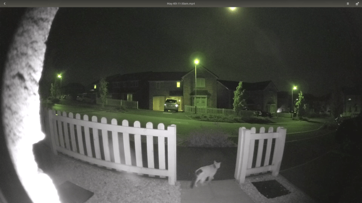 Footage from my Ring Doorbell Pro, showing a cat which triggered motion detection.