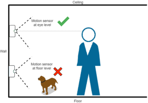 Diagram showing best Philips Hue motion sensor placement to avoid pets