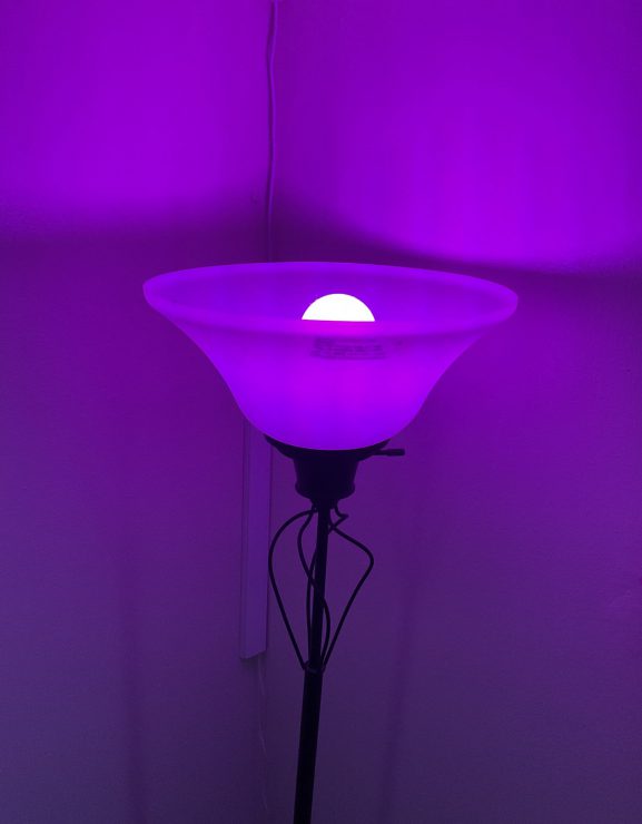 Smart LED bulb in dark pink