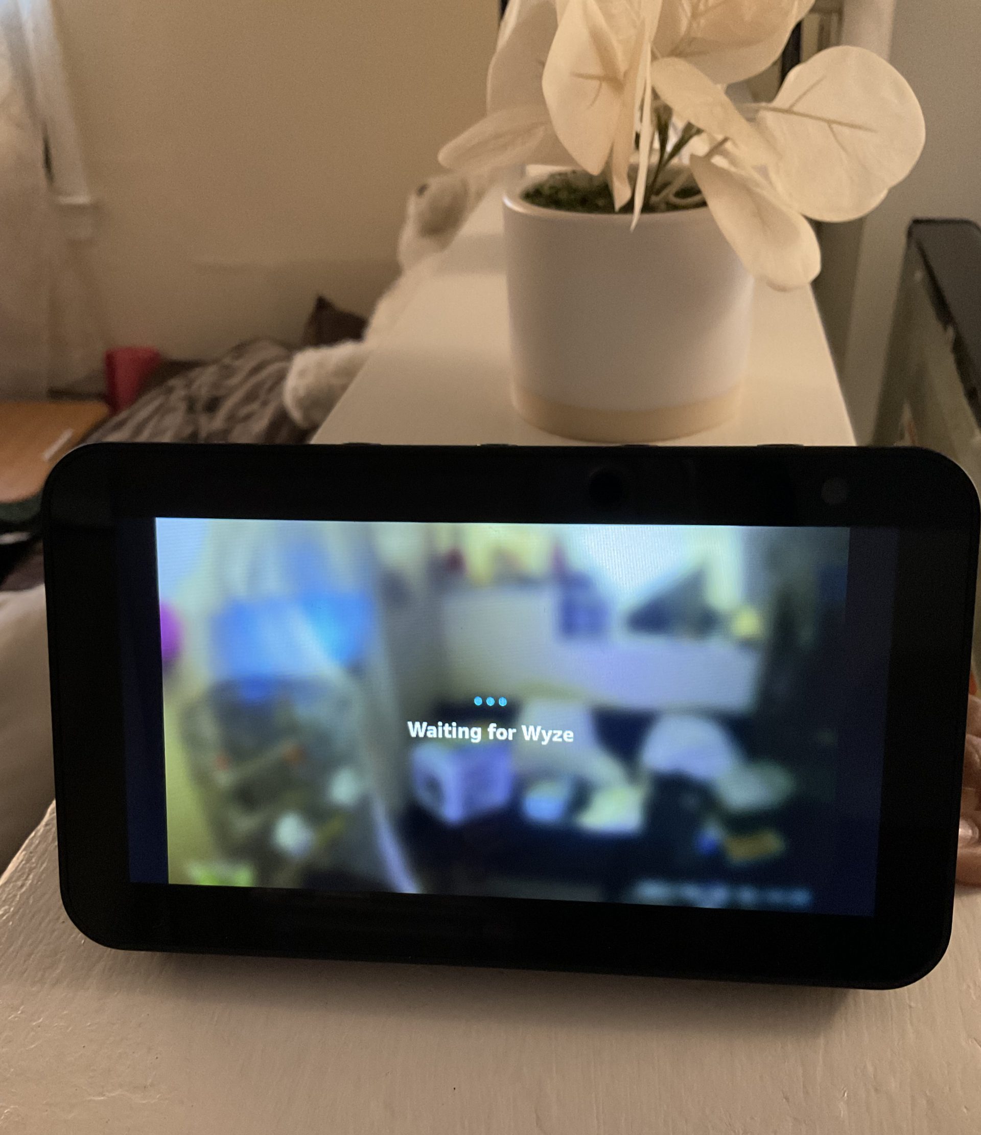 Onregelmatigheden Meetbaar joggen Live View on the Echo Show: Which Camera Has the Best Support? - Smart Home  Point