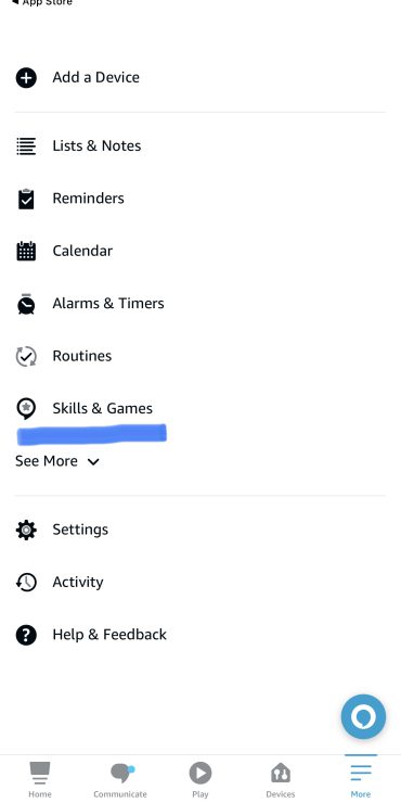 Settings in the iPhone Alexa App Showing Skills and Games
