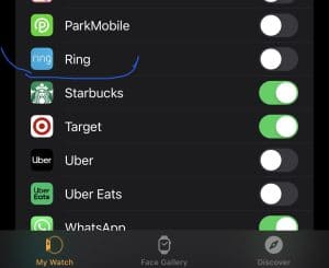 Ring Notifications Toggle in the iOs watch app