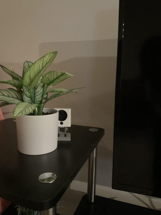 Wyze v.2 with possible light obstruction