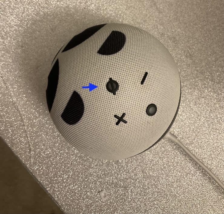 Microphone off button on Kids Echo Dot