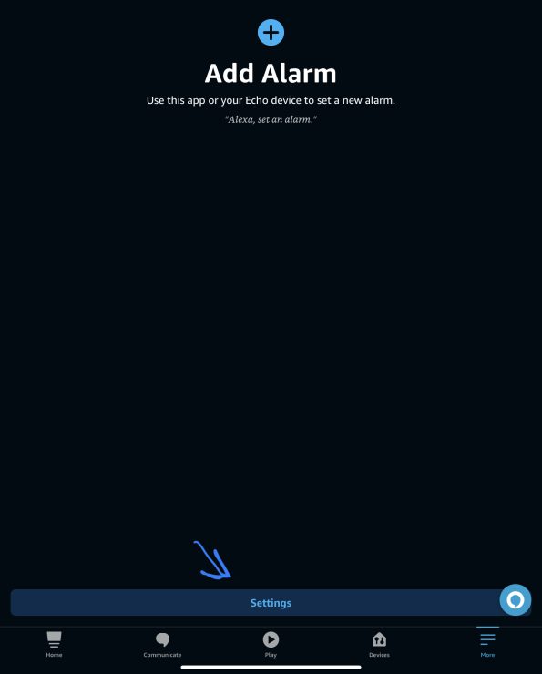 Alarm Settings in the Alexa app