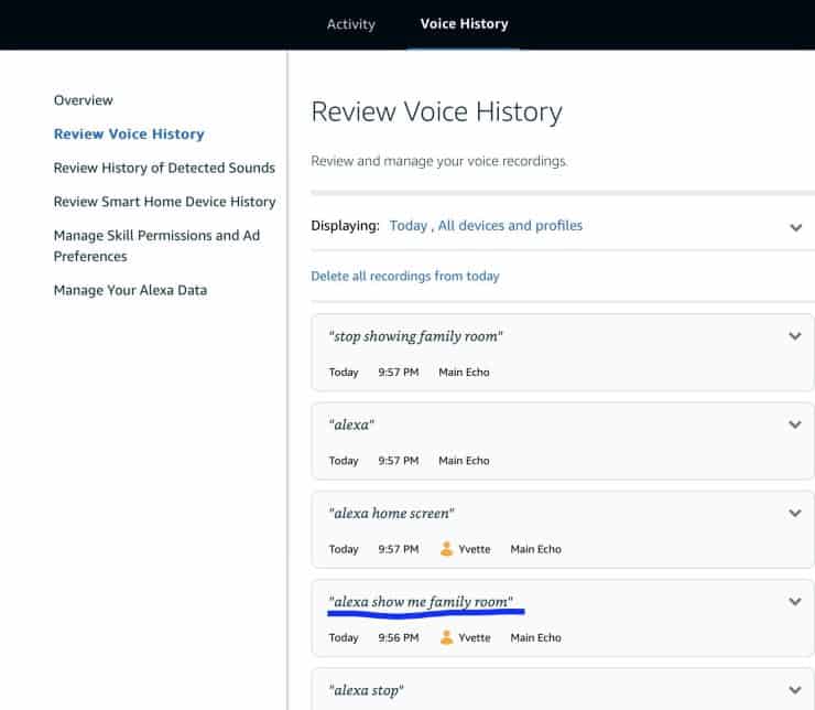 Voice history in the Alexa app showing a request for camera feed