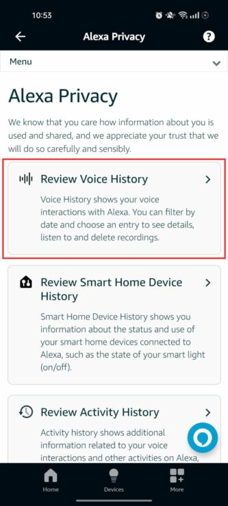 Review Voice History