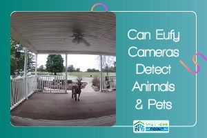 Can Eufy Cameras Detect Animals 01
